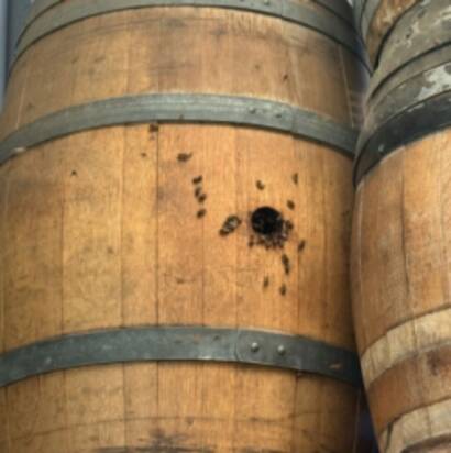 Wild Bees enjoy wine